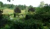 gardens_8-e1280505804107 The rolling hills behind the house and gardens are slowly being opened and the trees harvested.