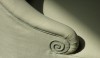 OLYMPUS DIGITAL CAMERA The spiral cord detail is very handsome and decorative without being cute.