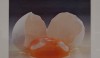MoMA_Kitchen_Exhibit_07-e12913039676011 An Irving Penn photograph of a single egg as an art object.