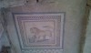 attachment-25-1-e1297790391260 A lovely medallion with great detail and a classic field as the frame.
