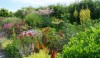 L1020583 The layering of plant material from short to tall and light to dark is the same formula that we use to design spaces