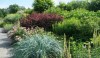 L1020587 Soft gray and yellow, red, dark green, muted, bright, small and very large. Viewed together the garden makes an incredible statement.