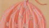 pink dress An example of the type of dress she designed for very fashionable women in the 20's. The design is consistent with inspiration from the Art Deco period.