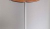 This petal table was designed by Richard Schultz for Knoll.  It is another familiar form.  I love the white powder coat base against the teak top.