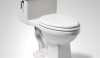 Alden WC A new WC from Waterworks is the one piece Alden with the economical 1.3 gallon flush.