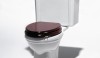 Universal_Mahogany Toilet Seat A traditional water closet with a mahogany seat. It retains some elements from the first ceramic WC's from the late 19th century.