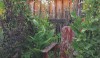 garden garden