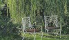 weeping willows A delicate pair of fancy chairs have the right sweeping ironwork to be compatible with weeping willows.
