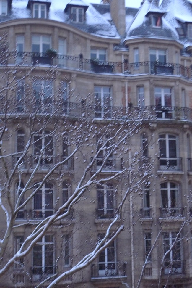 Paris covered in a light layer of snow.  This was taken with the early morning light creating a gray cast on the landscape.