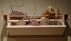 A great way to store vegetables.